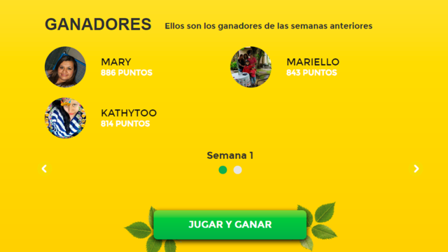 Lipton 3