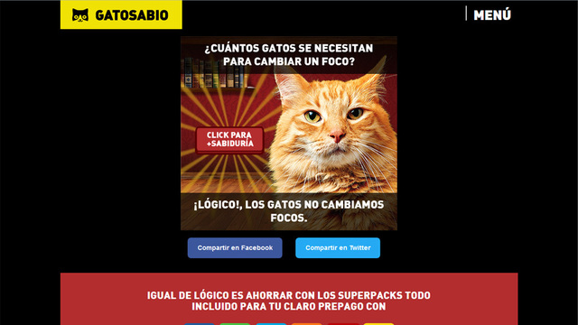 App social sabiduria gatosabio 03