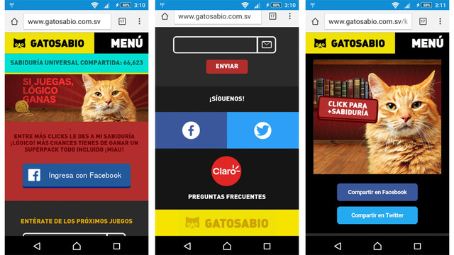 App social sabiduria gatosabio 04