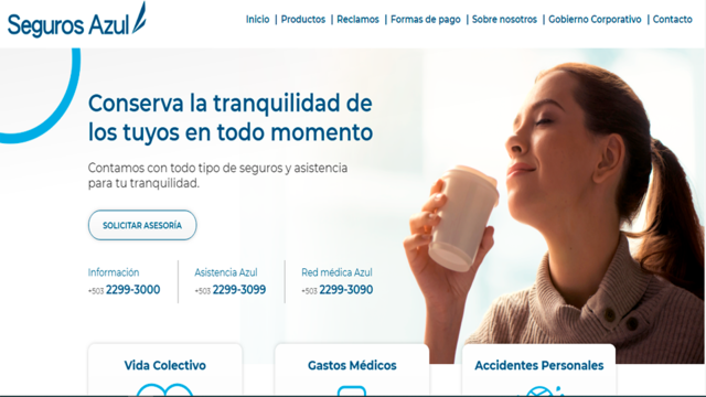 Seguros azul portafolio 1