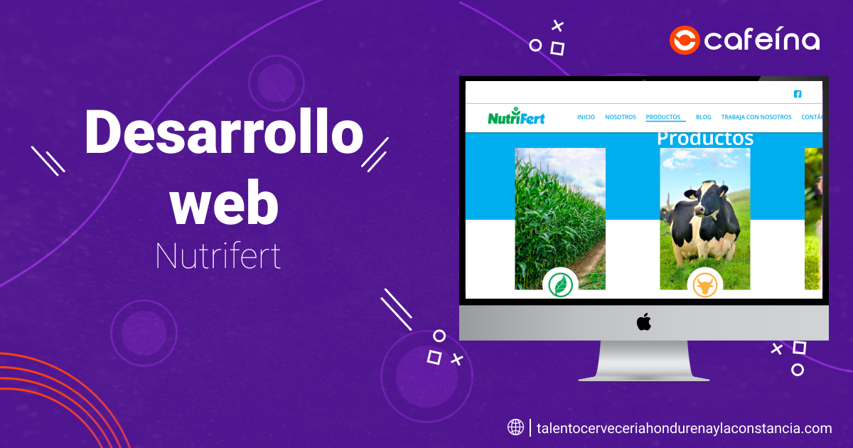 portafolio desarrollo-digital-